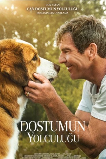 Dostumun Yolculuğu 2