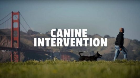 Canine Intervention izle