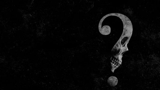 Fear izle