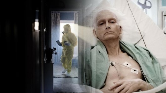 Litvinenko izle