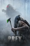 Prey - Predator