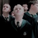 draco
