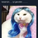 _____buneamk_____