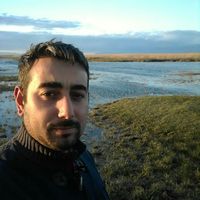 Yasin Özsoy