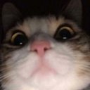 ElCapitan