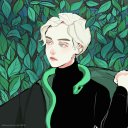 themalfoy4