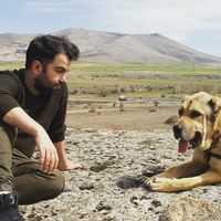 Cihan Köroğlu