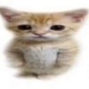 yagmur