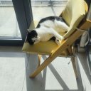 Sibelium