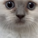 Samobi